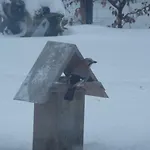 Ferienwohnung Ostseewald