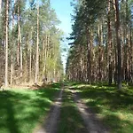 Ostseewald Apartment *