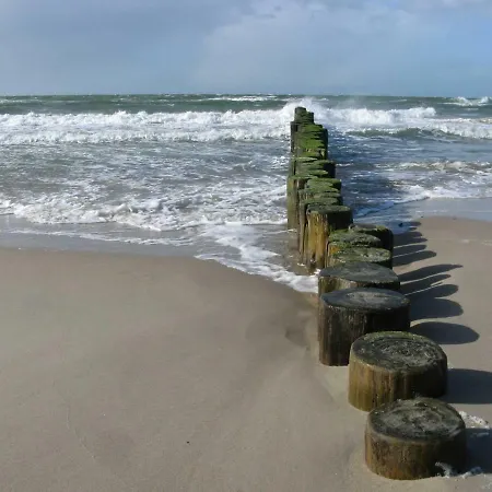 Ostseewald *