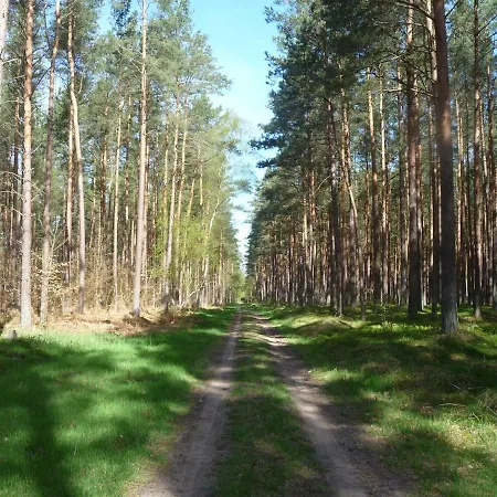 Ostseewald Apartment *