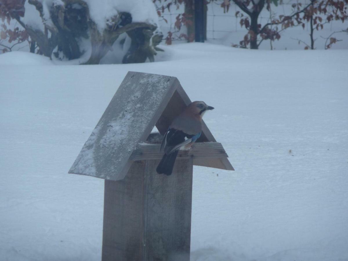 Apartment Ostseewald *