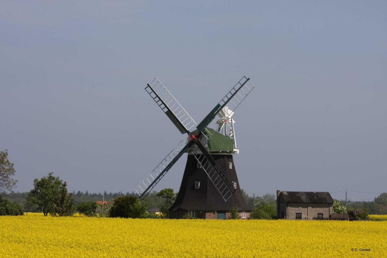 Ostseewald Apartment