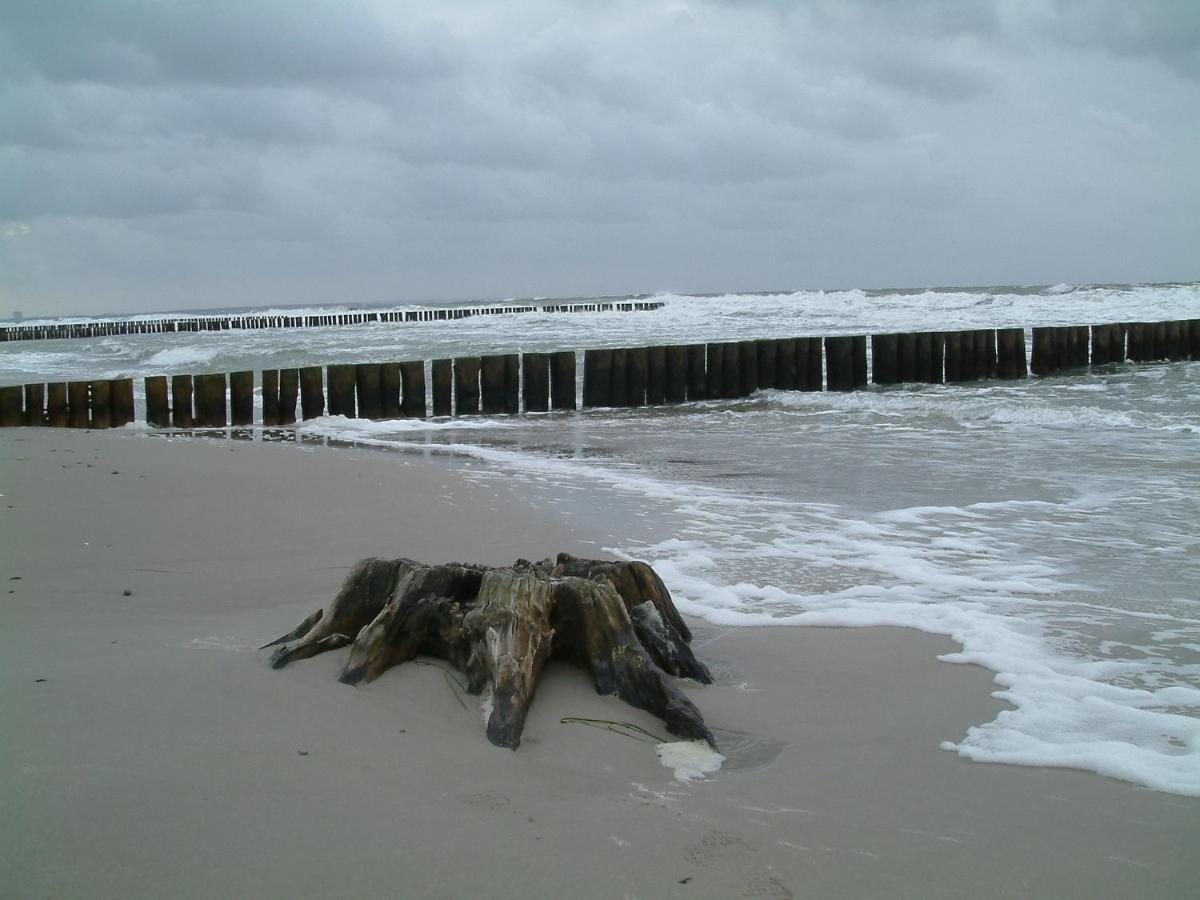 Ostseewald Apartment *